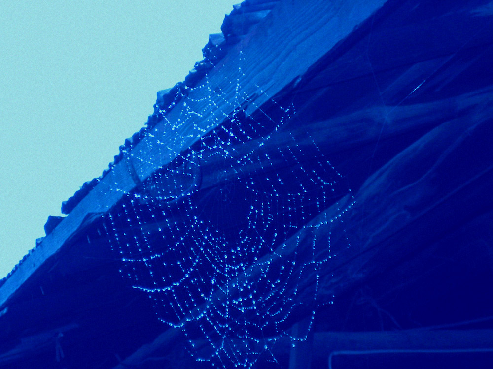 thinkgardenサービス