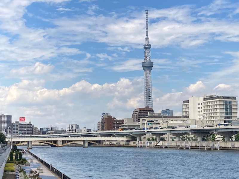 think garden再始動